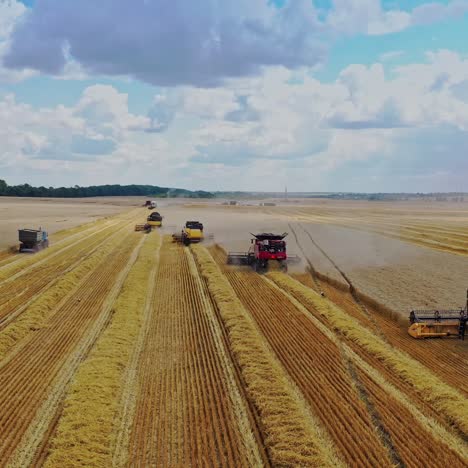 Harvesters on wheat field