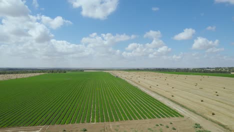 straw fields at sdot negev settlement's, israel