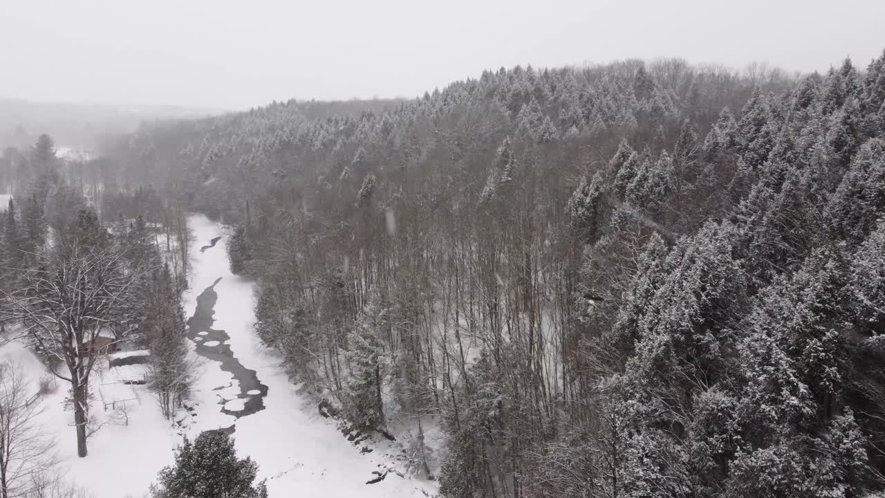 A large bird flies through a snowstorm above a snow-covered forest and icy river below.