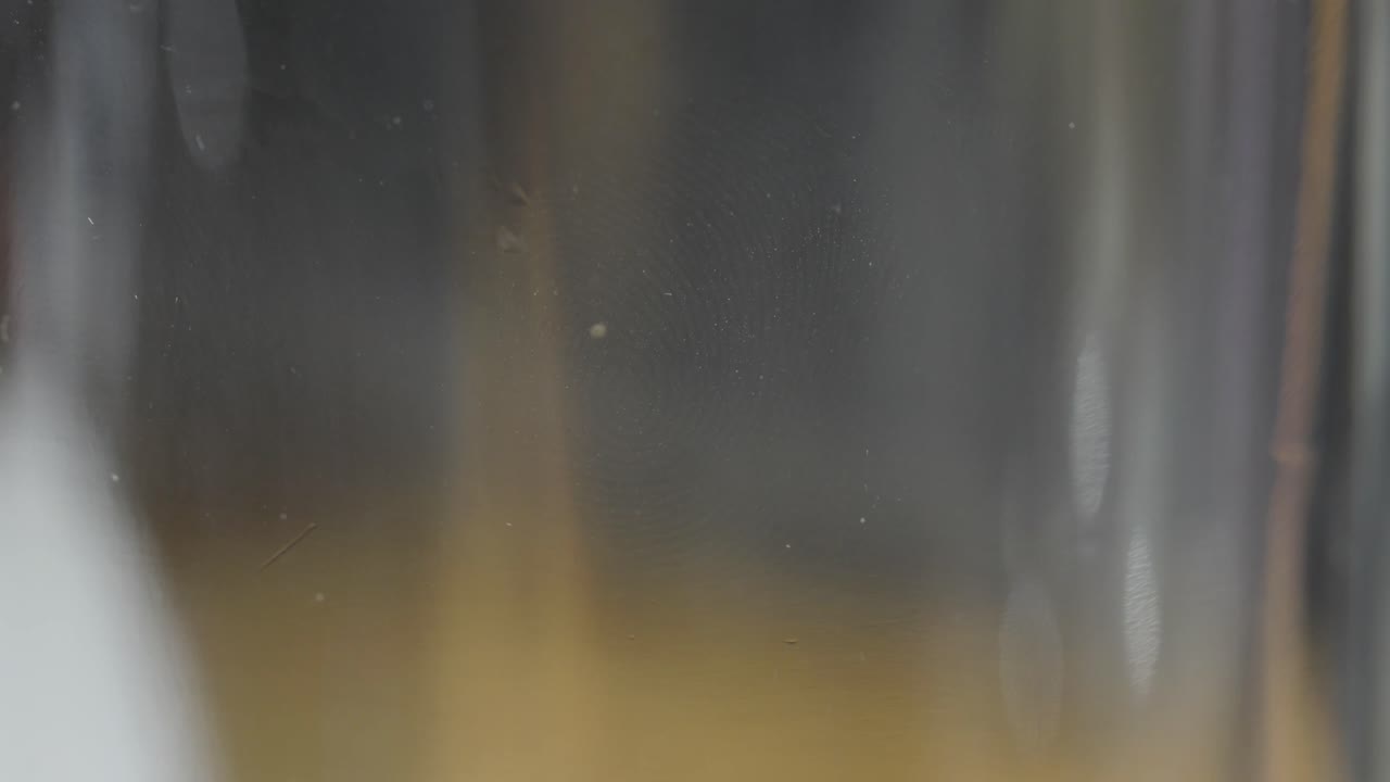 fingerprint on glass closeup view