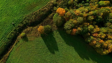 Aerial-top-view-over-green-meadows-and-a-forest-in-autumn-colors