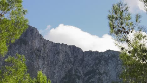 clouds moving over steep rocky ridge with pine trees in foreground