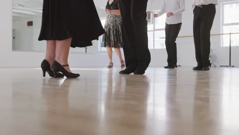 maestro de baile de raza mixta que toma una clase de baile de salón en un estudio de baile