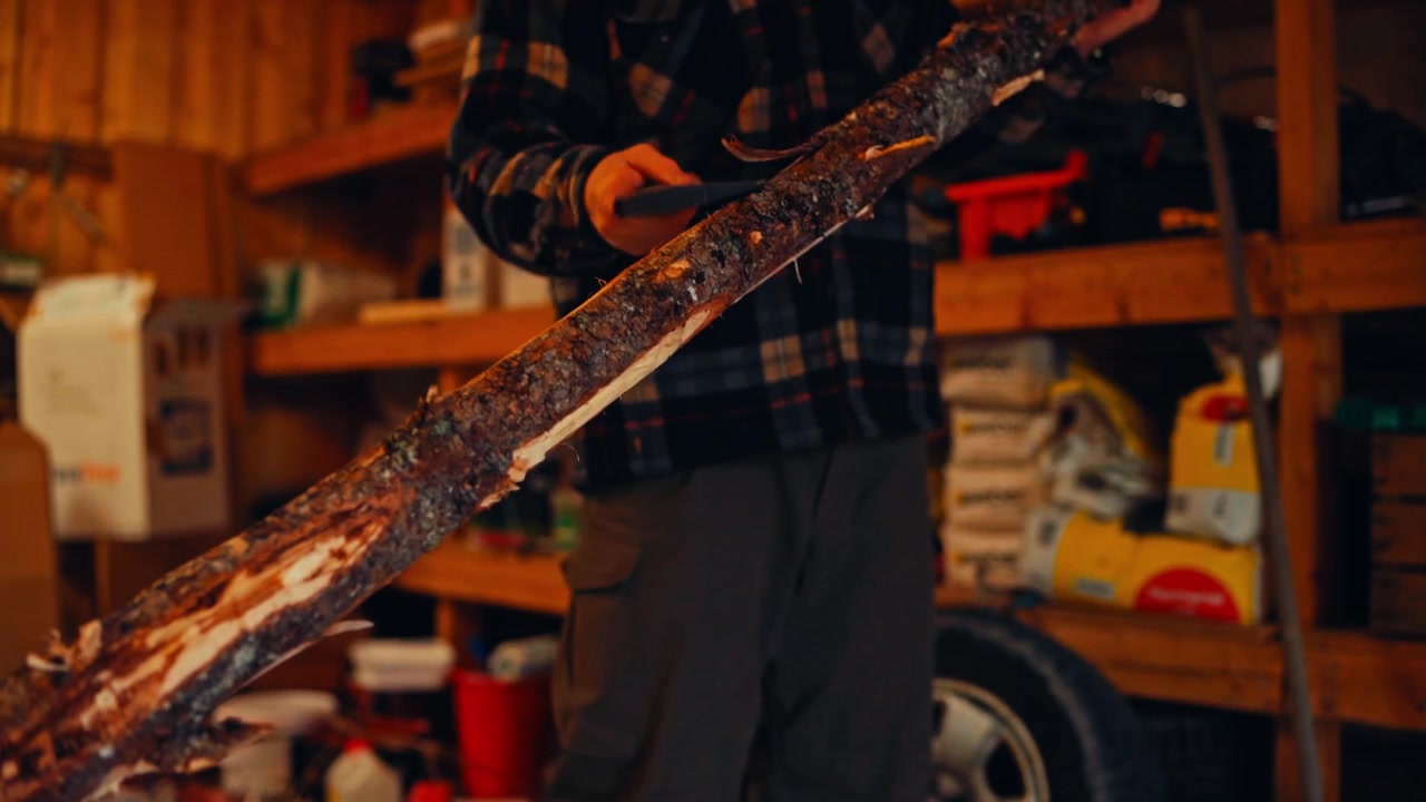 Man With A Handy Axe Removing Tree Bark From An Old Trunk. Close-up Shot