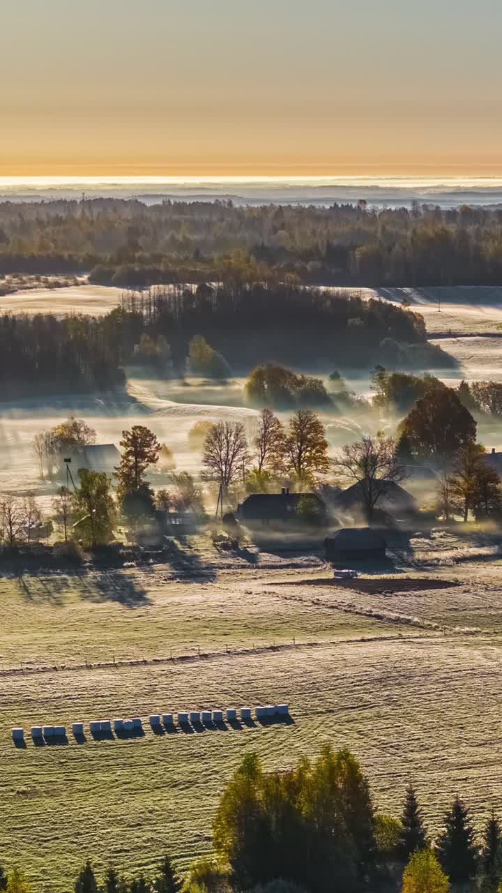 Die Bewegungen von Morgennebel über einer gefrorenen Winterlandschaft, festgehalten in einer vertikalen Zeitrafferaufnahme.