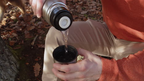 tourist pouring hot tea from thermos into cup, forest autumn leaves in background, close up view