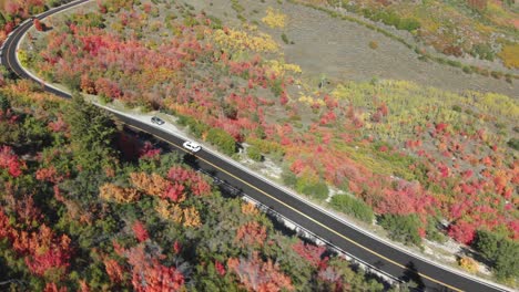 Aerial-subject-of-white-car-driving-on-the-Alpine-Scenic-Loop-during-fall-foliage-Utah,-USA