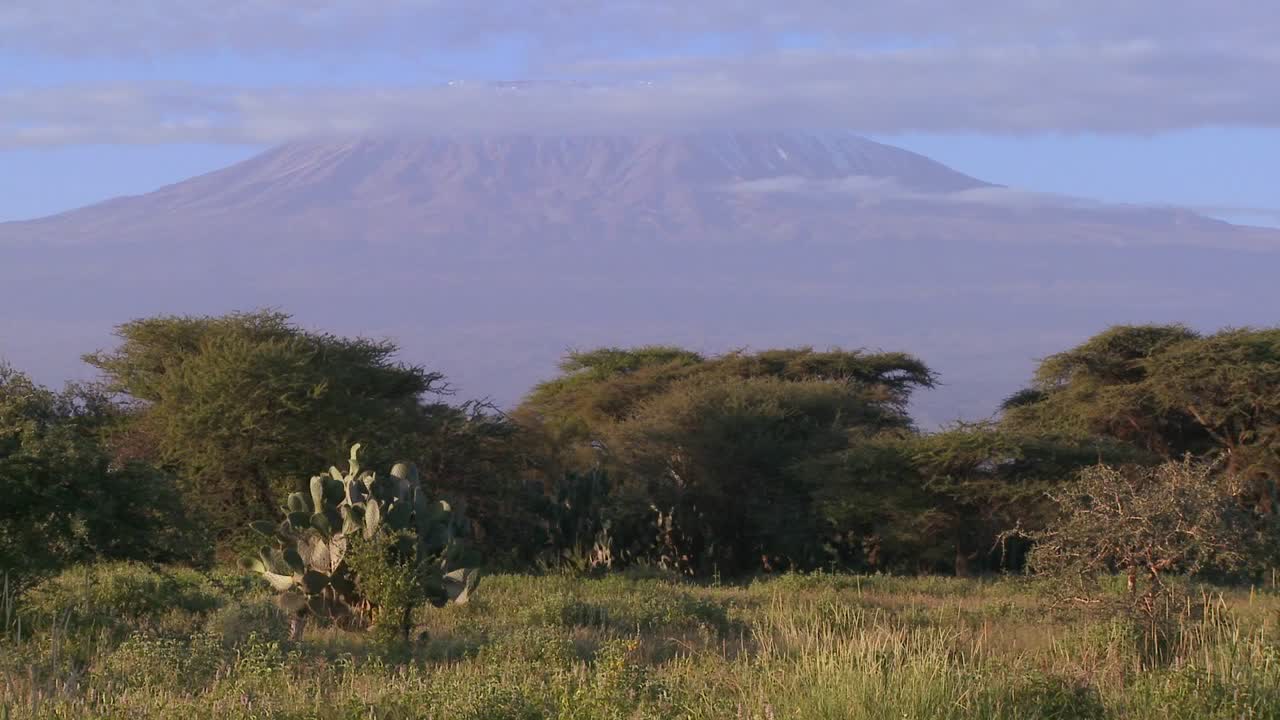 Bellissimo time-lapse del Monte Kilimanjaro in Tanzania, Africa orientale, all'alba