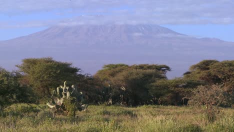 beautiful time lapse shot of mt kilimanjaro in tanzania east africa at dawn