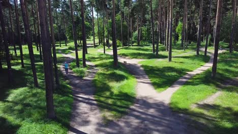 forest trails and crossroads