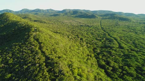 Aerial-cinematic-view-of-forest-near-Popa-beach