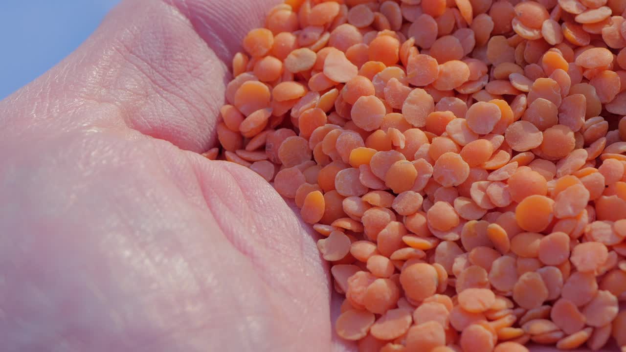 Cupped hand grabbing and squeezing a hand full of red lentils