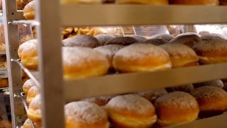 slow motion fresh tasty donuts poured with icing sugar