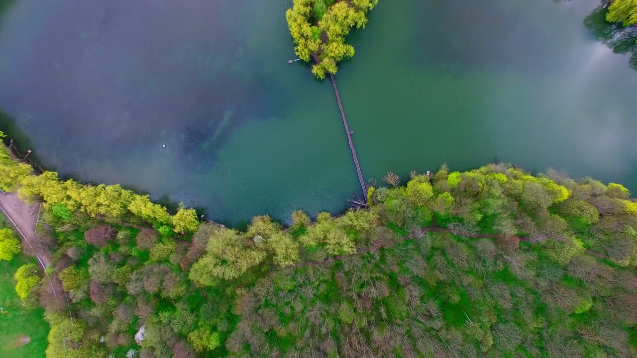 vista aérea de la isla rodeada de hermosos sauces y bosques coloridos