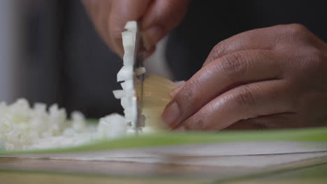 chopping an onion on a cutting mat with a sharp knife - isolated close up of african american hands