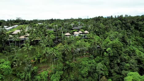 Vistas-Aéreas-De-La-Glorieta-De-La-Jungla-De-Un-Hotel-De-Lujo-De-5-Estrellas-En-Ubud,-Bali,-Indonesia---Hoshinoya-Bali