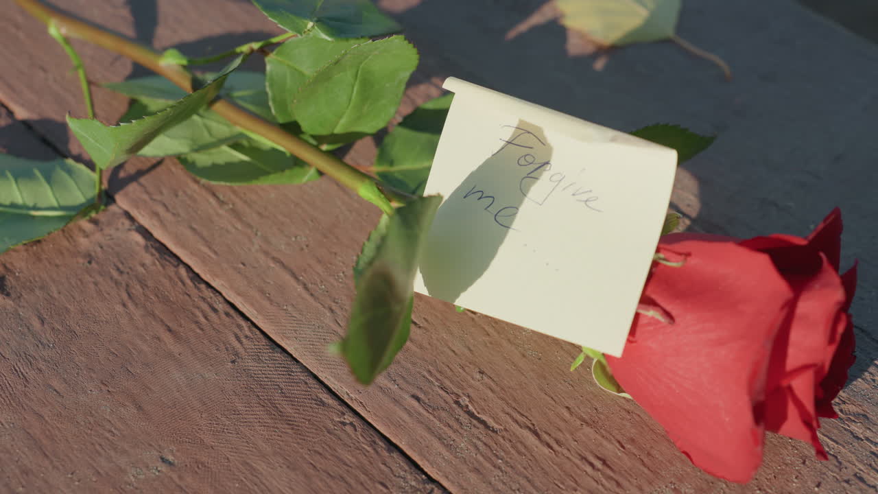 Rosa vermelha em um banco de madeira com um pequeno bilhete adesivo dobrado, projetando uma sombra suave. A luz quente da hora dourada ilumina pétalas orvalhadas e folhas verdes. Um close-up revela os veios da madeira e a delicada textura das pétalas na cena.