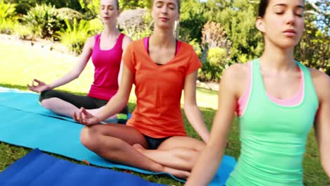 mujeres realizando yoga en el parque