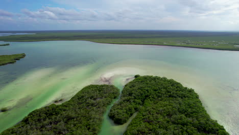 tulum aerial view of sian kaʼan reserve biosphere drone fly above unpolluted mangroves and caribbean sea