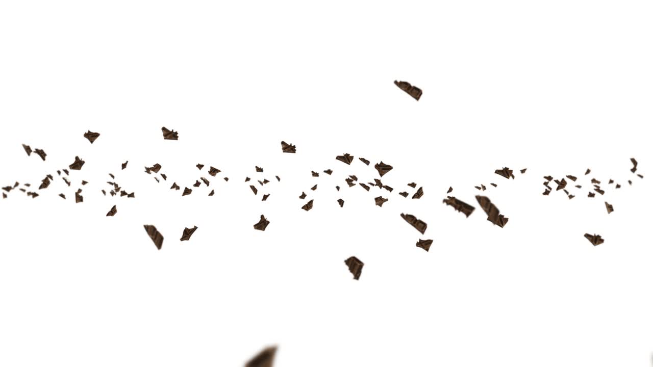 Flying many chocolate pieces on black background. Foods and sweets. Milk and dark. 3D loop animation of chocolate rotating.