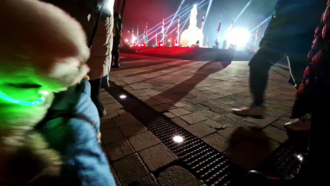 Fluffy dogs on a leashes playing in a lit-up square at night with people and beams of light in the background