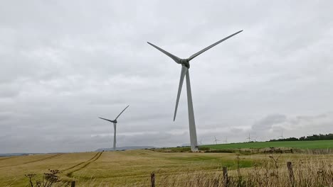 wind turbines spinning in a grassy field