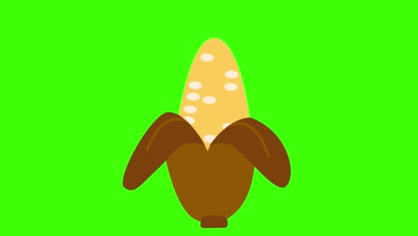 green screen , party icon , acorn