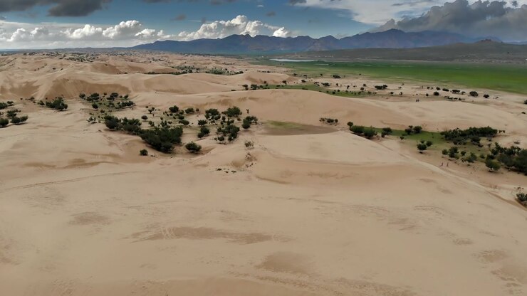 Vista aerea di vaste dune di sabbia e un'oasi verde in Mongolia