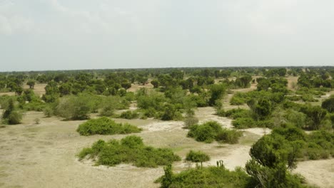 flying low over ugandan wilderness, untouched land