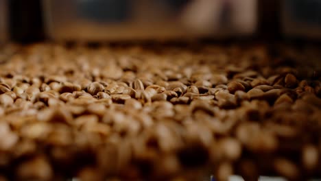 granos de café tostados