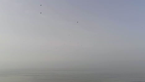 una bandada de pájaros durante la migración primaveral sobre el brumoso mar del norte abierto