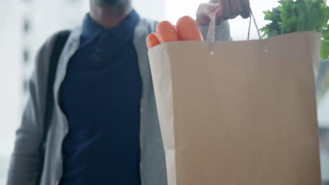 Entrega,-Comida-Y-Bolso-Con-Un-Mensajero.