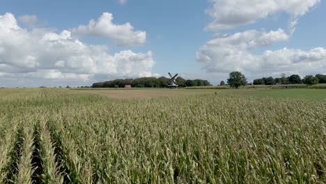 moving fast over wheat field with a windmill on the background