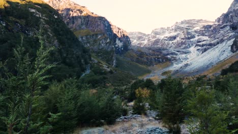 beautiful idyllic mountain landscape with forest trees on glacier burn track in new zealand during summer