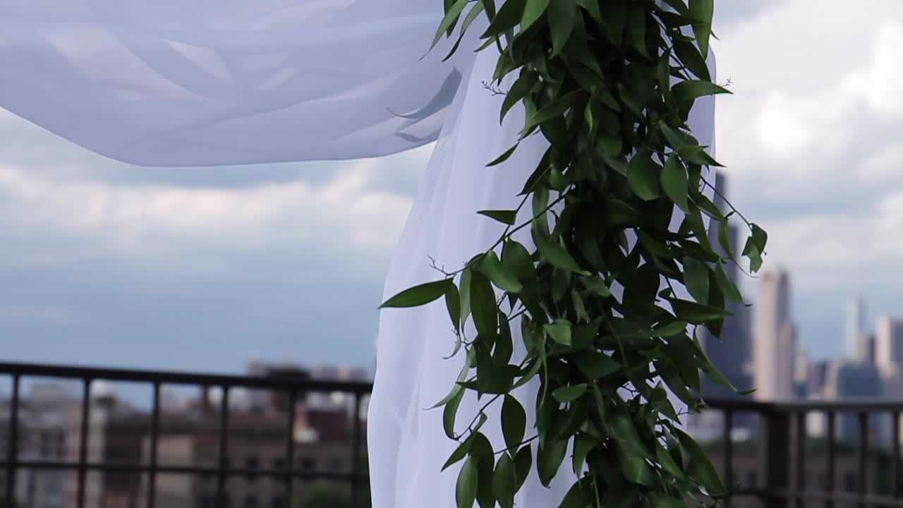 City view with greenery