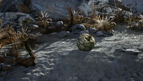 An-old-torn-soccer-ball-thrown-lies-on-sand-of-sea-beach