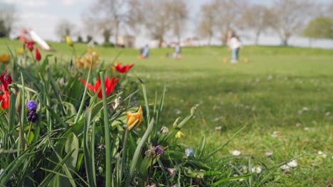 Blumen-Beginnen-Zu-Blühen,-Während-Eine-Verschwommene-Familie-Im-Hintergrund-An-Einem-Sonnigen-Frühlingstag-Fröhlich-Zusammen-Spielt