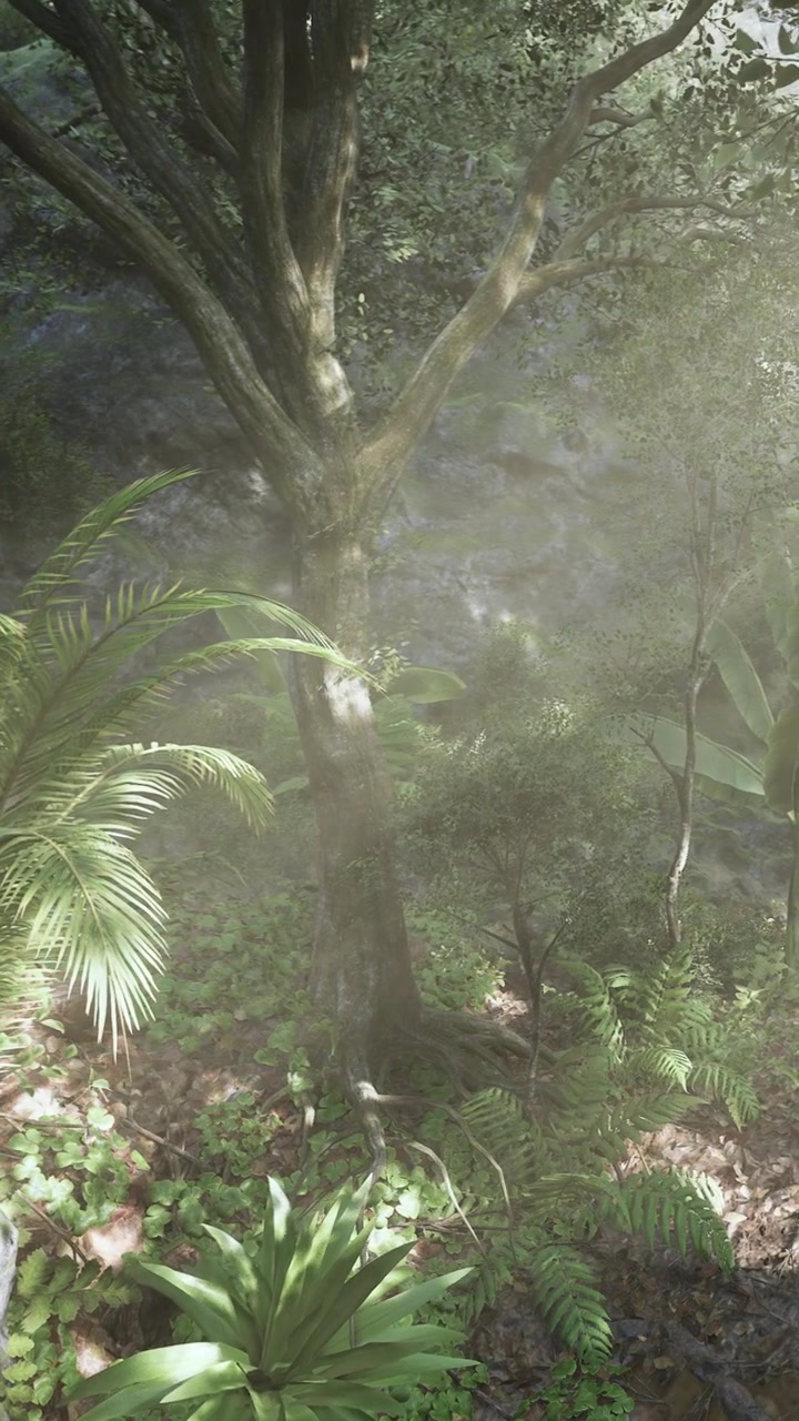 La luce del sole filtra tra gli alberi in una fitta foresta verde durante il giorno