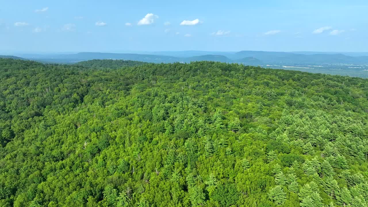 Wide shot of green forest landscape stretching across distant hills