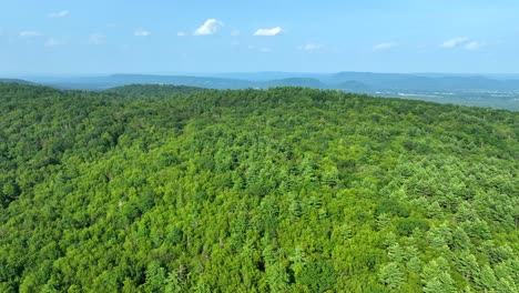 wide shot of green forest landscape stretching across distant hills
