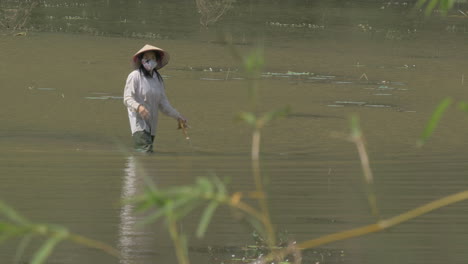 vietnamese woman walking in water field hanoi