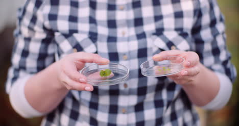 Botanist-Holding-Plant-Samples-On-Petri-Dish-1