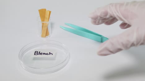 testing litmus paper reaction with bleach