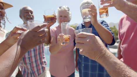 Happy-diverse-senior-friends-drinking-a-toast-at-sunny-garden-party,-unaltered,-in-slow-motion