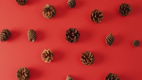 Video-of-pine-cones-lying-on-red-surface