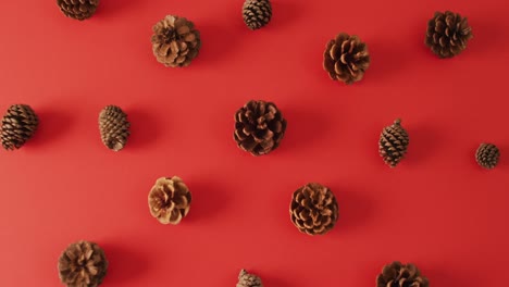 video of pine cones lying on red surface