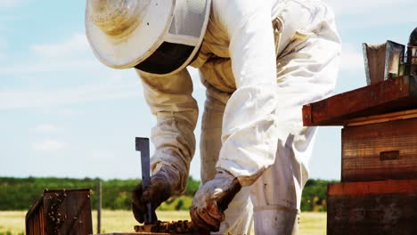 Beekeeper-removing-honeycomb-from-beehive-in-apiary