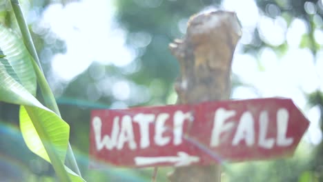 slow motion shot of a sign coming into focus that says waterfall with an arrow pointing down the trail