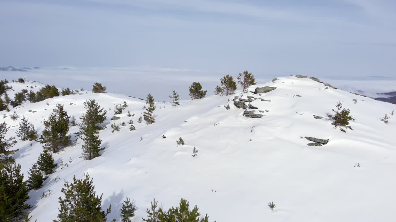 Drone view flying over beautiful mountain peak covered in snow and conifer trees revealing valley full of foggy clouds