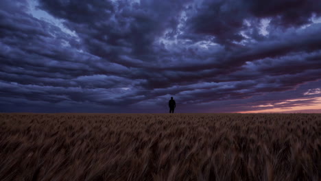 man in a wheat field at sunset with storm clouds